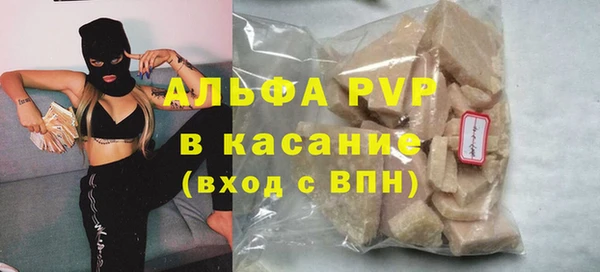дмт Бородино