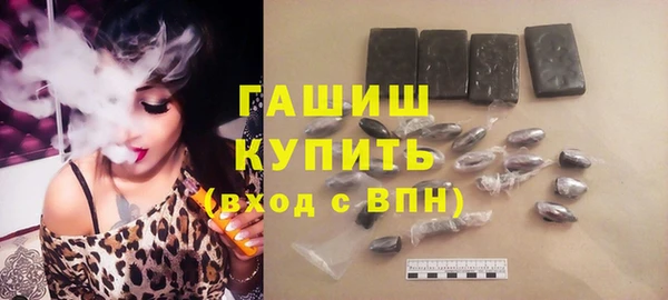 дмт Бородино