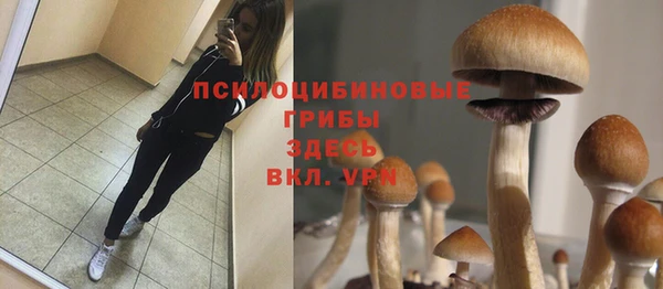 прущая мука Бронницы