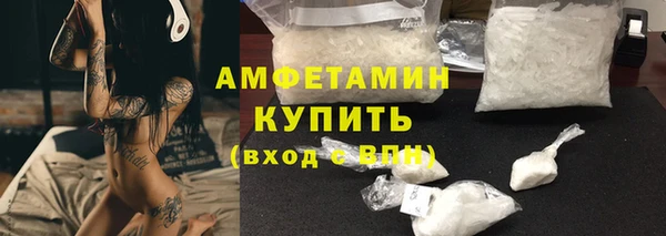 дмт Бородино