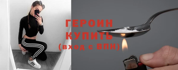 дмт Бородино
