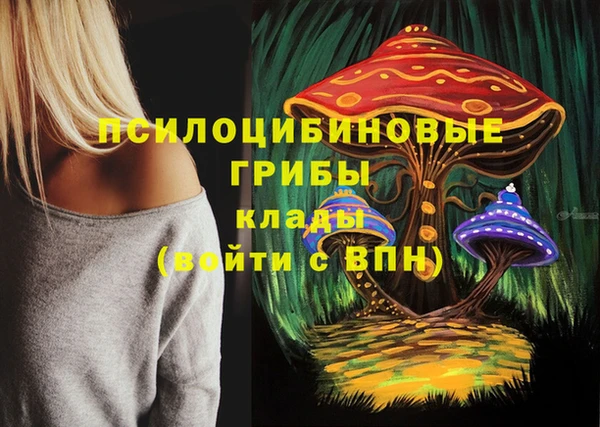 ALPHA PVP Бугульма