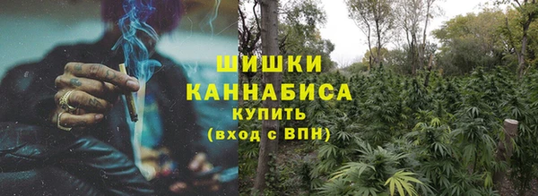 дмт Бородино