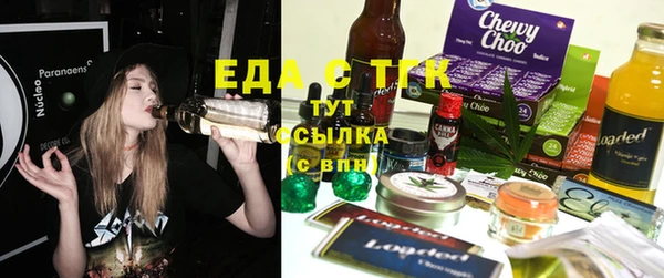 дмт Бородино