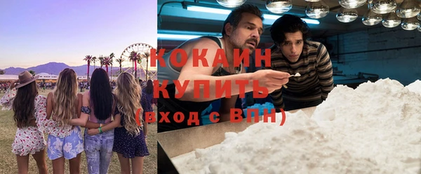 дмт Бородино