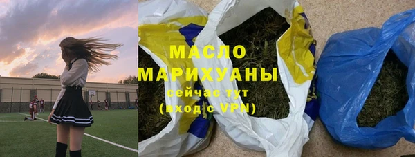 дмт Бородино